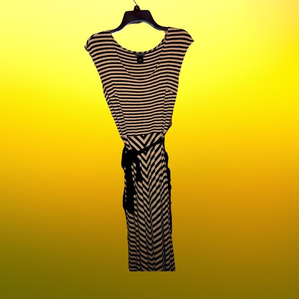 Ann Taylor dress